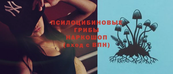 PSILOCYBIN Аркадак