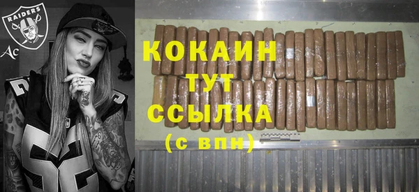 PSILOCYBIN Аркадак