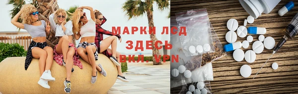PSILOCYBIN Аркадак