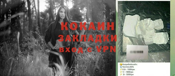 PSILOCYBIN Аркадак