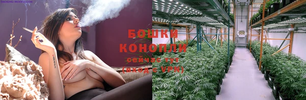 PSILOCYBIN Аркадак